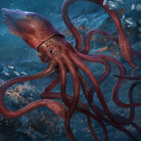 Giant Squid by Herckeim on DeviantArt Giant Squid Aesthetic, Giant Squid Art, Squid Aesthetic, Humboldt Squid, Scary Sea Creatures, Squid Drawing, Colossal Squid, Greek Monsters, Playing In The Sand