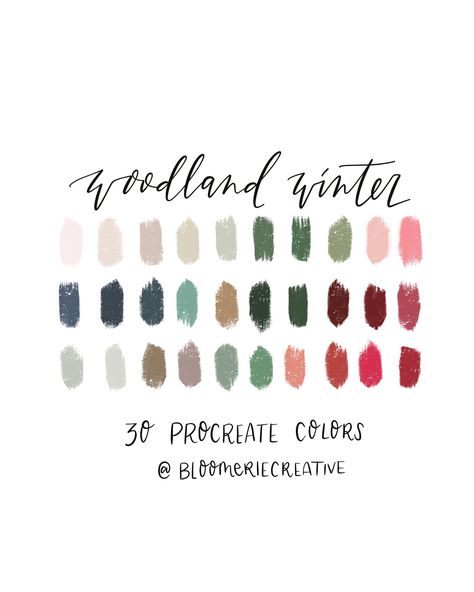 Winter Procreate Palette, Woodland Christmas Color Palette, Procreate Christmas Palette, Christmas Procreate Palette, Christmas Pastel Color Palette, Woodland Color Palette, December Color Palette, Winter Pallette, Christmas Colour Palette