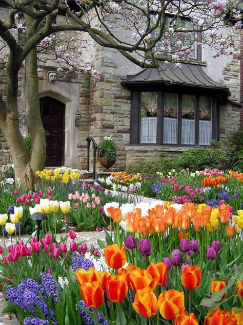 30+ Stunning Tulip Planting Ideas - Garden Tabs Garden Bulbs, Landscaping Flowers, Planting Tulips, Outdoor Garden Lighting, Desain Lanskap, Flowers Gardening, Garden Wallpaper, Tulips Garden, English Cottage Garden