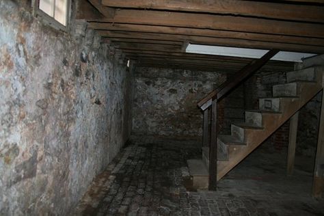 imagine having to film in this basement #spooky #thegirlfromthebasement Dark Basement, Old Basement, Gif Terror, Creepy Houses, Basement Plans, House Games, State School, Unfinished Basement, Abandoned Buildings