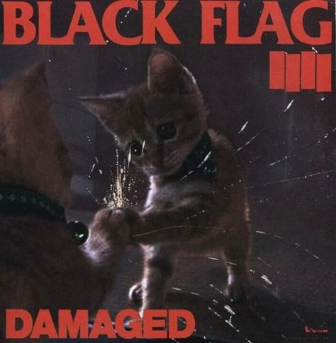 I don't know where this came from, but I'm glad it exists Heavy Metal Cat, Famous Album Covers, Punk Cats, Cat Flag, Kitten House, Joe Satriani, Iconic Album Covers, Beastie Boys, Joy Division