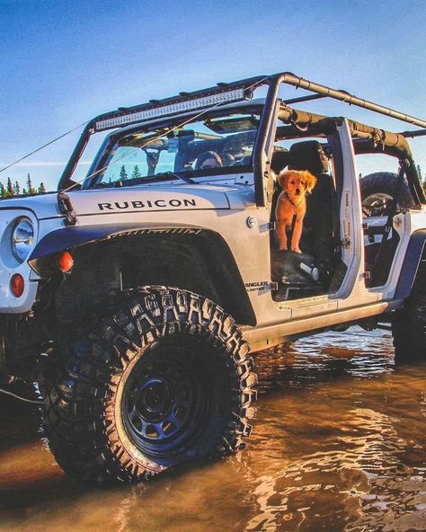 Jeep Jeep, Wild Child, Jeep, Cars, Dogs, Instagram