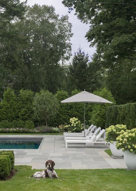 Slate Pavers, Pavers Design, Pool Pavers, Taman Air, House Pool, Pools Backyard Inground, Pool Landscape Design, Pool Lounger, Zen Space