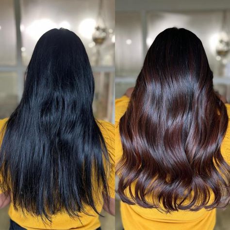 Deep Brown Hair Balayage, Hair Dye Colors Dark Brown, Chocolate Brown Hair Vs Black Hair, Chocolate Brown On Black Hair, Black To Chocolate Brown Hair, Black Vs Brown Hair, Dark Brown Vs Black Hair, Non Bleach Hair Color For Black Hair, Brown Hair Vs Black Hair