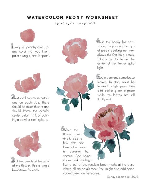 Watercolour Peony Tutorial, Simple Peony Painting, Easy Watercolor Peony, Easy Peony Painting, Watercolor Peony Tutorial, Watercolor Peony Tutorial Step By Step, Peony Flower Watercolor, How To Paint A Peony, How To Draw A Peony