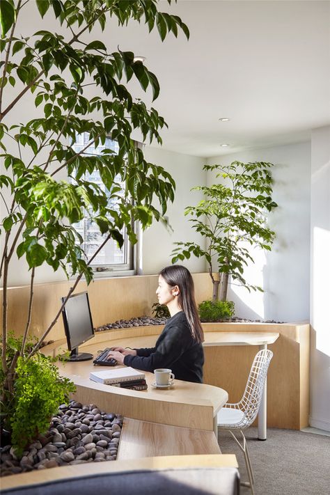 A Hidden Garden Behind the Concrete Walls / Muxin Design | ArchDaily Green Office Design, Plant Office Design, Chinese Office, Zen Office, Natural Office, Innovative Office, Green Office, Modern Office Design, Front Office