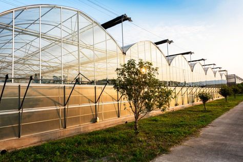 The future of greenhouse technology may be tinted solar panels | The Optimist Daily: Making Solutions the News Greenhouse Kits For Sale, Greenhouse Building, Greenhouse Panels, Simple Greenhouse, Artistic Room, Pool Images, Lean To Greenhouse, Build A Greenhouse, Small Greenhouse