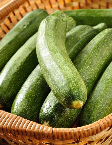 Roots Recipes, Zucchini Plant, Bread Zucchini, Zucchini Pasta Recipes, Zucchini Recipes Baked, Growing Zucchini, Carrot Gardening, Recipe Zucchini, Recipes Zucchini