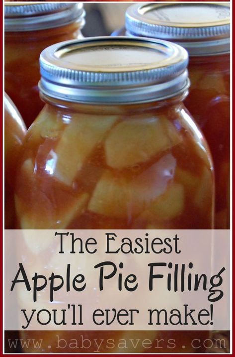 Easy Apple Pie Filling Recipes, Make Apple Pie Filling, Can Apples, Easy Apple Pie Filling, Canning Apple Pie Filling, Apple Pie Filling Recipe, Recipes For Canning, Canning Apples, Apple Pie Filling Recipes