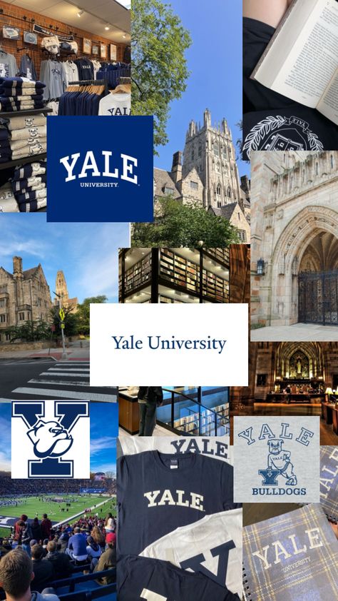 #yale #ivy #ivyleague #yaleaesthetic #shuffle #shuffles #yalejournalist #yalegilmoregirls Yale Medical School Aesthetic, Ivy University, Uni Motivation, Yale College, Yale Law, University Inspiration, Yale Bulldogs, Study Girl, University Aesthetic