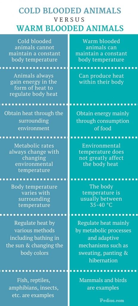 Difference Between Cold Blooded and Warm Blooded Animals | Comparison of Characteristics, Metabolism, Examples Frog Species, Animal Experiments, Animal Worksheets, Cold Blooded, Pond Life, Biology Notes, Magic School Bus, Science Ideas, Animal Activities