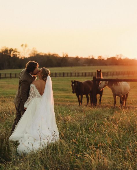 Talk about a golden hour dream! I’ll never get over these sunset shots with the gorgeous horses in the background! ☀️ 2nd for @megankuhnphotography Weddings With Horses, Horse In Wedding, Wedding Photos With Horses, Horse Wedding Ideas, Wedding With Horses, Wedding Horse, Equestrian Wedding, Pictures With Horses, Gorgeous Horses