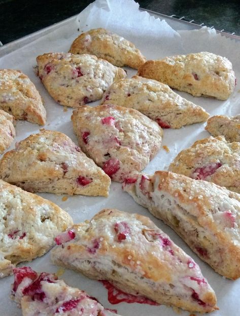 Strawberry Rhubarb Scones, Strawberry Rhubarb Recipes, Rhubarb Scones, Raspberry Scones, Strawberry Scones, Scones Recipe Easy, Rhubarb Desserts, Rhubarb Recipes, Strawberry Rhubarb