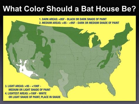 This is a guide to what color to paint your house, the majority of the country medium brown should work, or black. Its actually easier to fix a bat house that is too hot, but bats will never use a bat house that is too cold, so always err on the side of overheating.   Paint Your Bat House for Proper Heating TEMPERATURE Bat Habitat, Bat Conservation, Bat House Plans, Bat Box, House Location, Bat House, Paint Your House, Future Garden, Bird Feeding