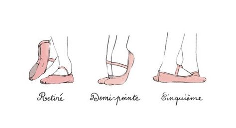 pink//slippers. Ballet Terms, Ballet Basics, Hata Yoga, Ballet Drawings, Ballet Positions, Ballet Technique, Ballet Moves, Ballet Workout, Ballet Exercises