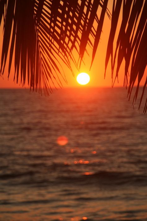 ☀Puerto Rico☀Sunset in Aguadilla, Puerto Rico Puerto Rico Sunset, Sunset Beaches, Aguadilla Puerto Rico, Enchanted Island, Tropical Islands, Island Life, Beautiful Islands, Beautiful Sunset, Beach Resorts