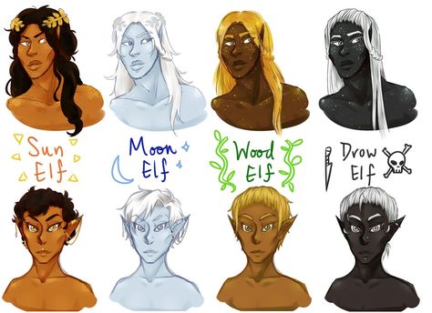 Different Elf Races, Types Of Elves Dnd, Moonshadow Elf Oc, Gray Skin Character, Elf Species, Dnd Moon Elf, Different Types Of Elves, Moon Elves, Types Of Elves