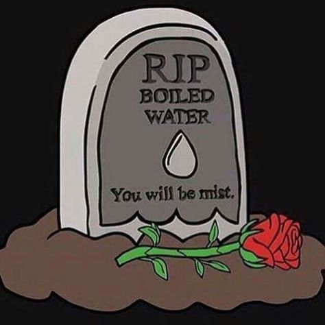 Rip boiled water. You will be mist. Water Puns, Nerdy Jokes, Punny Jokes, Punny Puns, Science Puns, Nerd Jokes, Chemistry Jokes, Inspirerende Ord, Science Quotes