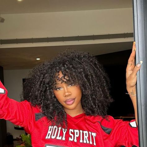 Sza Aesthetic Curly Hair, Sza Hair Short, Sza Hair Curly, Sza Hairstyles, Sza Hair, Sza Aesthetic, Wig Inspiration, Sza Singer, Curly Hair Wig