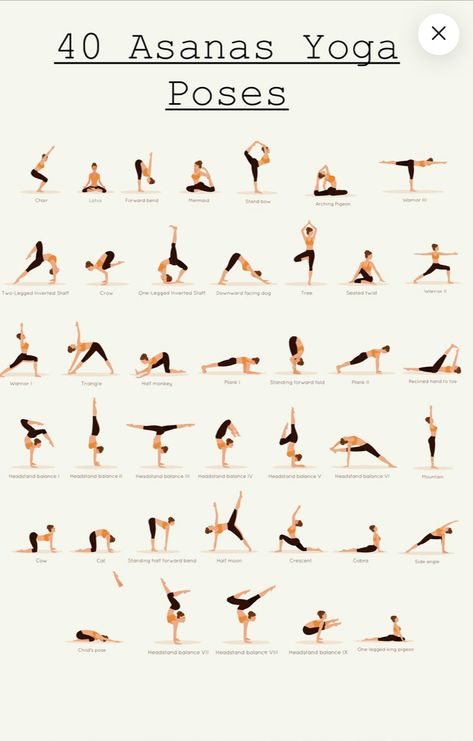 Asanas Yoga Poses, Chest Yoga, Intermediate Yoga Poses, Yoga Poses Chart, Yoga Routine For Beginners, Yoga Facts, Yoga Poses For 2, Yoga Poses Advanced, Daily Yoga Workout