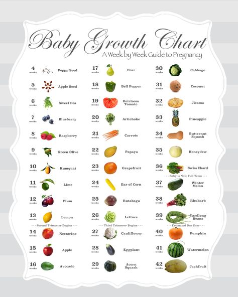 A fruit and vegetable baby size comparison chart in grey/gray. Uniquely covers all 42 possible weeks of a term pregnancy. Includes indicators for second and third trimester, estimated delivery / due date, and full term status. For professional results, print on 80lb glossy paper then put it through a roll laminator. Coordinates w/ daisy chain strips also posted for siblings / family members to count up or down to Baby & a greytone chart of the weeks & months for the 1st, 2nd, and 3rd trimesters. Pregnancy Growth Chart, Baby Fruit Size, Baby Size By Week, Pregnancy Chart, Baby Growth Chart, Pinterest Baby, Pregnancy Calculator, Baby Size Chart, Baby Stage