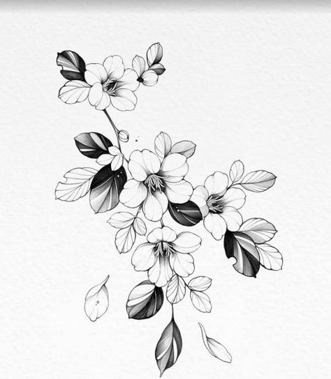 Hawthorne Flower, Peony Flower Tattoos, Flor Tattoo, Flower Tattoo Drawings, Tattoo Background, Beautiful Flower Tattoos, Tattoo Zeichnungen, Muster Tattoos, Floral Tattoo Sleeve