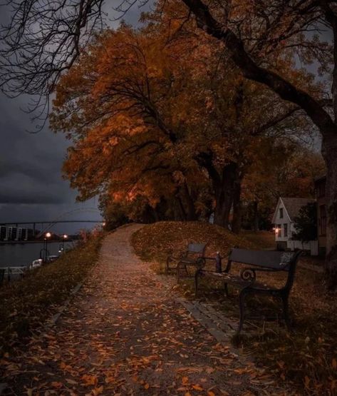 Lucien Vanserra, Herbst Bucket List, Park Benches, Court Of Thorns And Roses, Dark Autumn, Fall Inspo, Autumn Scenery, Season Of The Witch, Seasons Of The Year