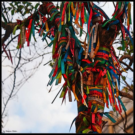 A tree of wishes ...    Tape Bonfim or Bonfim ribbon is a souvenir and charm typical of Salvador, capital of the Brazilian state of Bahia. Wax Sculpture, Wish Tree, Ribbon Tree, Houses Of The Holy, Wishing Tree, Alternative Christmas Tree, Deco Nature, Magic Symbols, Green To Blue