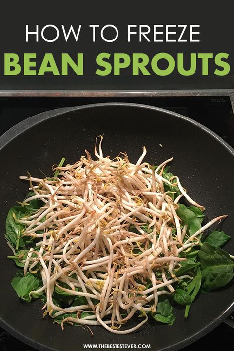 How To Store Bean Sprouts, What To Do With Bean Sprouts, Recipes Using Bean Sprouts, How To Cook Bean Sprouts, Recipes For Bean Sprouts, Recipes With Bean Sprouts, Beansprout Recipes, Bean Sprouts Recipes, Freeze Veggies