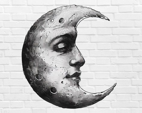 Png Moon, Metamorphosis Art, Crescent Moon Art, Moon Png, Mystical Moon, Easy Halloween Crafts, Horror Tattoo, Gothic Horror, Art Png