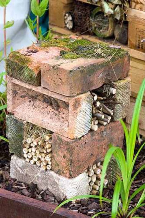 Bug Motel, Bug Houses, Bug Hotels, Bug House, Diy Garden Landscaping, Bee Friendly Garden, Brick Projects, Bee Hotel, Insect Hotel