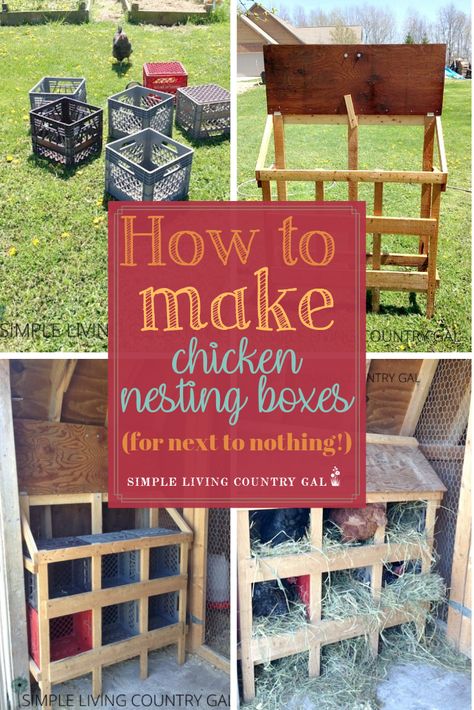 If you are looking for an inexpensive set up for your chickens then this DIY milk crate nesting box system might be for you. See how we made ours using materials from around our farm for next to nothing! DIY nesting boxes for homesteaders that anyone can make for little or no money. #chickens #backyardchickens #chickencoop #slcg How To Make Nesting Boxes For Chickens, Milk Crate Nesting Boxes For Chickens, Nest Boxes For Chickens, Milk Crate Nesting Boxes, Crate Nesting Boxes, Diy Nesting Boxes For Chickens, Diy Nesting Boxes, Nesting Boxes For Chickens, Crate Garden