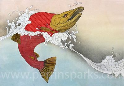 Salmon Drawing, Intaglio Etching, Salmon Cat, Rainbow Roll, Sockeye Salmon, 4 Plates, Wildlife Paintings, Fish Art, Portrait Artist