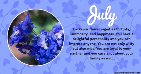 Larkspur Flower Meaning, Larkspur Meaning, July Born Quotes, July Birth Flowers, Zodiac Flowers, Birthday Month Quotes, July Flower, Water Lily Tattoos, Birthday Month Flowers