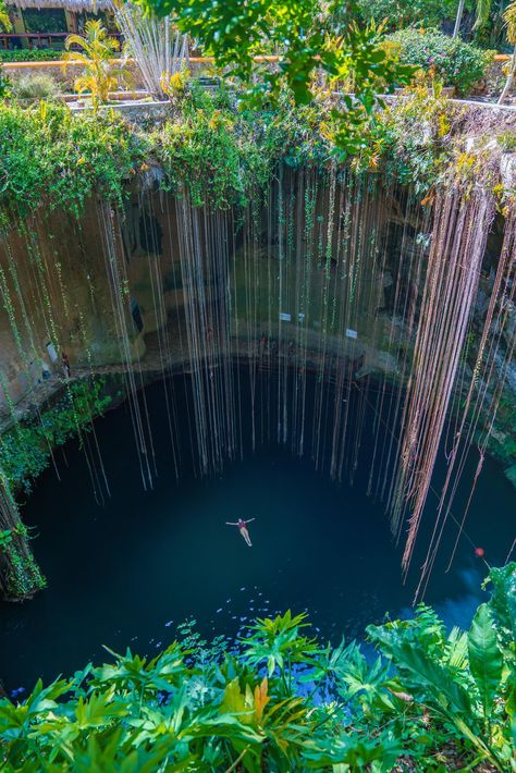 Ik KIl Cenote Mexico Cenote Mexico, Cancun Trip, Green Snake, Yucatan Peninsula, Central America, Cancun, Travel Around The World, Travel Around, Worth It