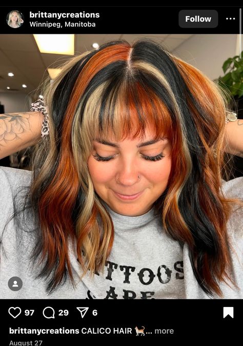 Edgy Color Block Hair, Colorful Fall Hair Colors, Brown Hair With Orange Streaks, Orange Peek A Boo Hair, Blonde Copper And Brown Hair, Calico Hair Placement, Calico Hair With Bangs, Calico Hair Color Placement, Orange Hair With Black Tips