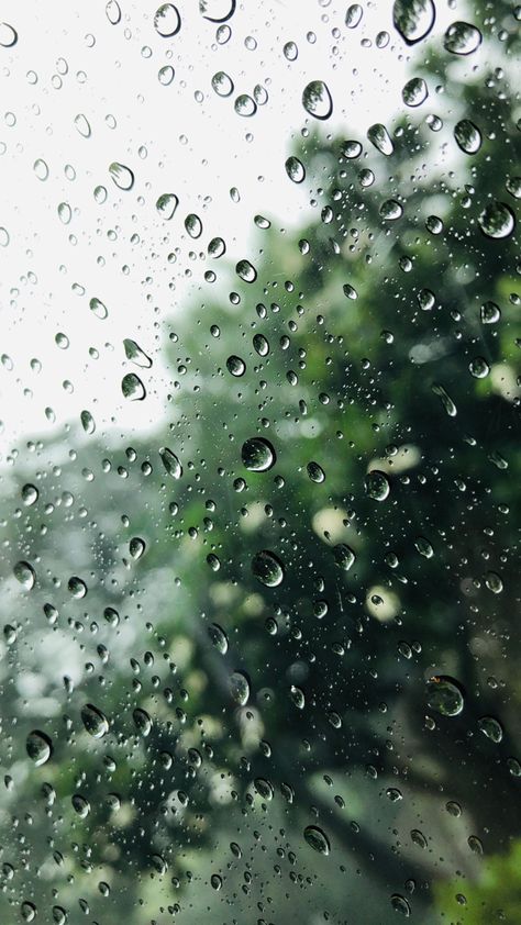 Rainy Wallpaper Iphone, Rainy Wallpaper, Smell Of Rain, Rainy Day Aesthetic, Rain Wallpapers, Wallpaper Nature Flowers, Summer Rain, Beautiful Landscape Wallpaper, Phone Wallpaper Images