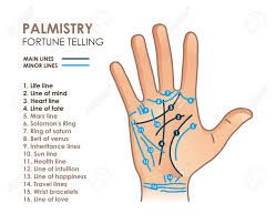 Palm Reading for Beginners: A Guide to Reading Palm Lines | Allure Palm Reading For Beginners, Palm Reading Lines, Palm Reading Charts, Palmistry Reading, Palmistry Hand, Palm Lines, Reading Guide, Palm Reader, Reading For Beginners