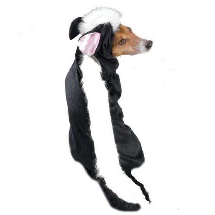 Big Dog Costumes, White Skunk, Skunk Costume, Prince Charming Costume, Black And White Costume, Dog Costumes Funny, Pet Halloween Costumes, Black And White Dog, Dog Halloween Costumes