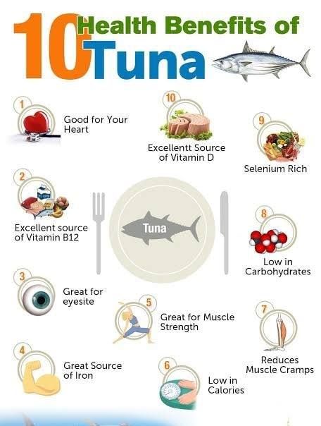 Benefits Of Tuna, Fish Protein, Tomato Nutrition, Calendula Benefits, Medicine Notes, Protein Food, Matcha Benefits, Lemon Benefits, Coconut Health Benefits