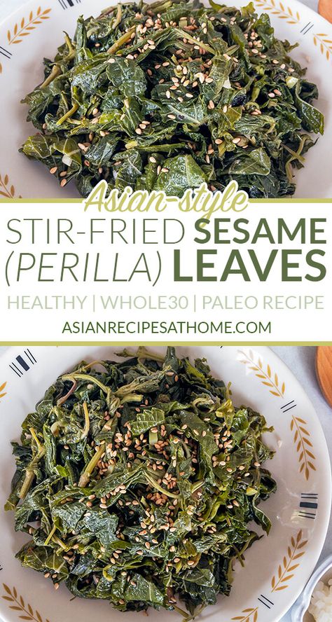 Sesame Leaves Recipe, Korean Perilla Leaves Recipe, Perilla Recipes, Perilla Leaves Recipes, Shiso Leaves Recipe, Perilla Plant, Shiso Leaves, Perilla Leaves, Earth Medicine