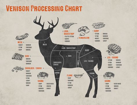 Meat Cuts Chart, Deer Butchering, Venison Backstrap Recipes, Deer Processing, Venison Tenderloin, Venison Backstrap, Venison Meat, Venison Burgers, Deer Recipes