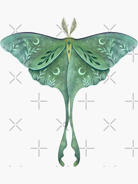 Moth Drawing Tattoo, Lunar Moth Drawing, Lunar Moth Tattoo, Drawing Tattoo Ideas, Luna Moth Tattoo, Moth Sticker, Moth Drawing, Moth Tattoo Design, Tattooed Models