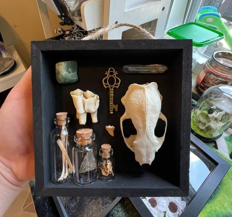 Spooky Crafts For Adults, Project Board, Home Decor