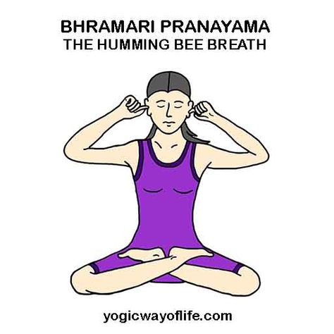 Bhramari Pranayama - The Humming Bee Breath Bhramari Pranayama, Pranayama Techniques, Pranayama Breathing, Pranayama Yoga, Fertility Yoga, Yoga Girls, Yoga Poses Names, Face Yoga Exercises, Yoga Breathing