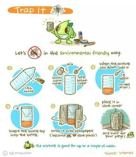 How to trap and kill mosquitoes in your house Mosquito Trap Diy, Mosquito Traps, Bug Trap, Deadly Animals, Kill Mosquitos, Mosquito Trap, Fly Traps, Mosquito Repellent, Animals Of The World