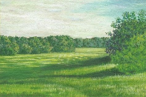 The Right Colors for Drawing Summer Grass - Carrie L. Lewis, Artist Grass Drawing, Canvas Art Painting Acrylic, Grass Fields, Grass Painting, Pencil Drawing Tutorials, Colored Pencil Artwork, Easy Canvas Art, Acrylic Painting For Beginners, Creative Painting