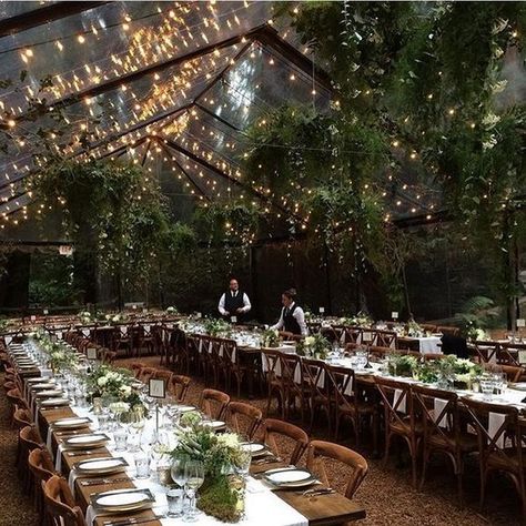 Starry Night Wedding Theme, Forest Wedding Reception, Wedding Reception Lighting, Starry Night Wedding, Forest Theme Wedding, Clear Tent, Centerpieces Ideas, Rustic Wedding Decorations, Garden Wedding Reception