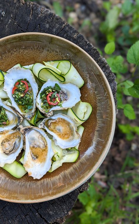 Usually known for their raw unconsciousness, oysters are a staple on New England summer menus. But if you haven't tried a grilled oyster before, you're missing out! The briny bites are a perfect base for a variety of toppings like our gingery herb sauce or maple miso sauce. Try them at your next BBQ!
...⁠
'Grilled Oyster Guide' out now on our Test Kitchen! Miso Sauce, New England Summer, Grilled Oysters, Miso Butter, England Summer, Herb Sauce, Summer Menu, Backyard Greenhouse, Test Kitchen