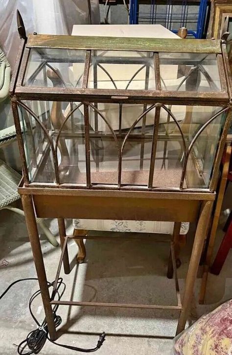 Wardian Case Terrariums, House Plant Display Ideas, Wooden Terrarium, Victorian Terrariums, Greenhouse Terrarium, Wardian Case, Vintage Birdcage, Plant Display Ideas, Tiny Shop